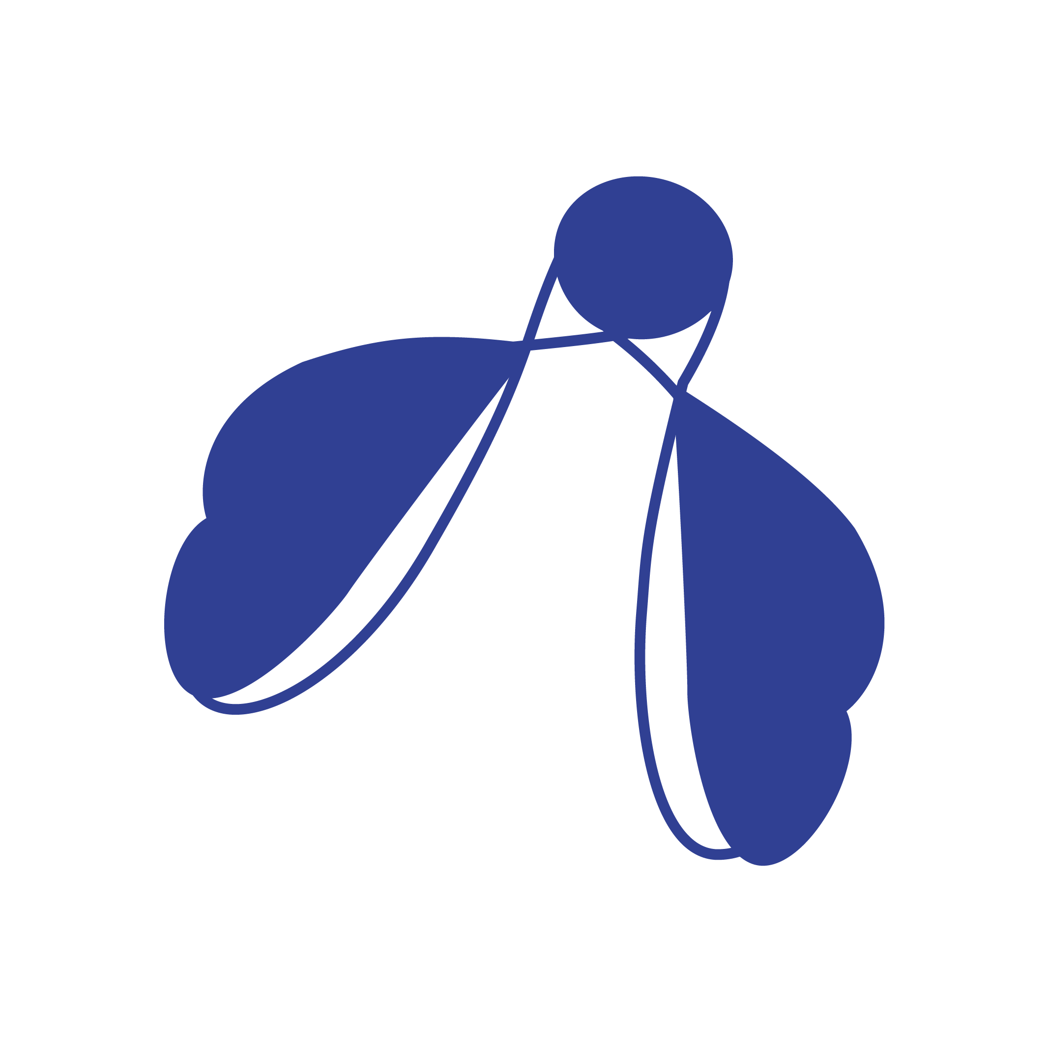 Wildflieger – Die Wildbienen-Hotspot-App